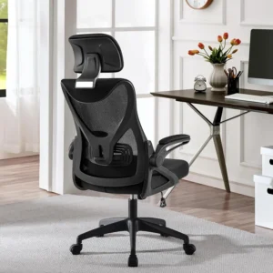 Ergonomic Office Chair
